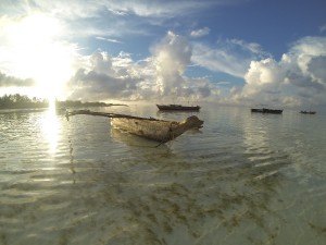 GOPR0288
