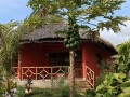 garden2